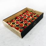 Picture of Bundle: 4 Catering Boxes