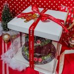 Merry Berry Chocolate Cake