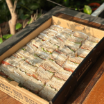 Picture of Family Party Package (50 Pax)